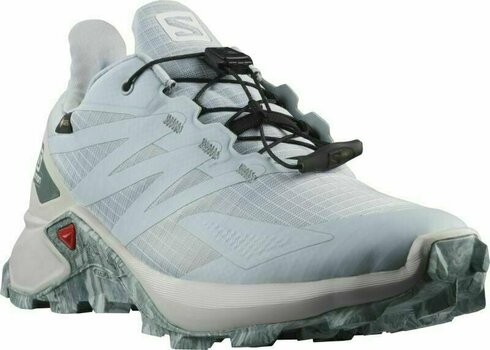 Womens Outdoor Shoes Salomon Supercross Blast GTX W Arctic Ice/Lunar Rock/Stormy Weather 37 1/3 Womens Outdoor Shoes - 1