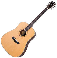 Washburn WD10NS-A-U Washburn WD10NS-A-U