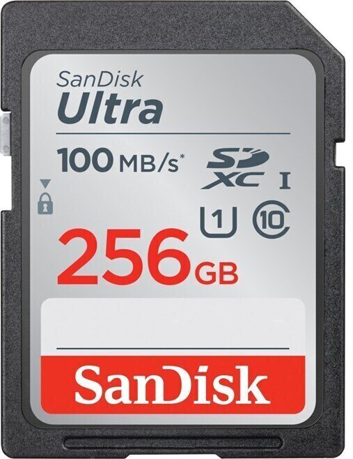 Cartão de memória SanDisk Ultra SDXC UHS-I 256 GB SDSDUNR-256G-GN6IN SDXC 256 GB Cartão de memória