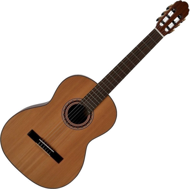Guitarra clássica VGS Pro Andalus Model 10M Cedar Top Natural Satin Open Pore