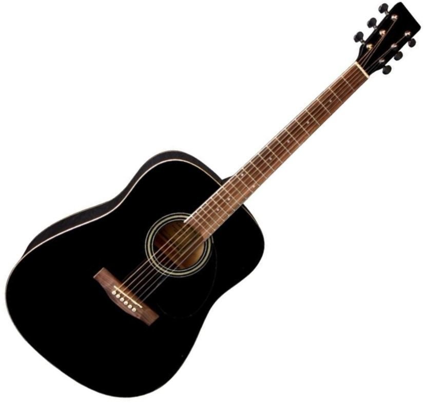 Akoestische gitaar VGS D-10 Zwart