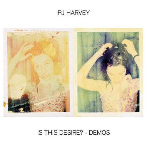 Schallplatte PJ Harvey - Is This Desire? - Demos (LP)