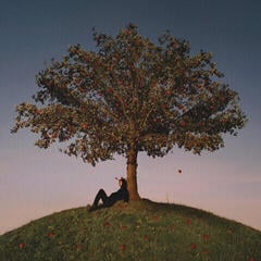 Vinylplate Slowthai Tyron (Vinyl LP)