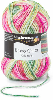 Fil à tricoter Schachenmayr Bravo Color 02123 Watermelon - 1