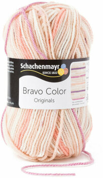 Fil à tricoter Schachenmayr Bravo Color 02106 Beige - 1
