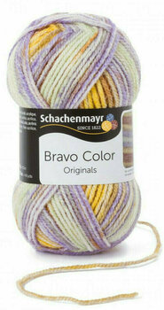 Pletací příze Schachenmayr Bravo Color 02121 Provence Pletací příze - 1