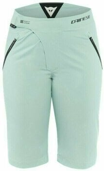 Cyklo-kalhoty Dainese HG Ipanema Water L Cyklo-kalhoty - 1