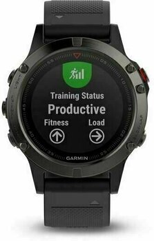 Smart hodinky Garmin fénix 5 Grey/Black - 1
