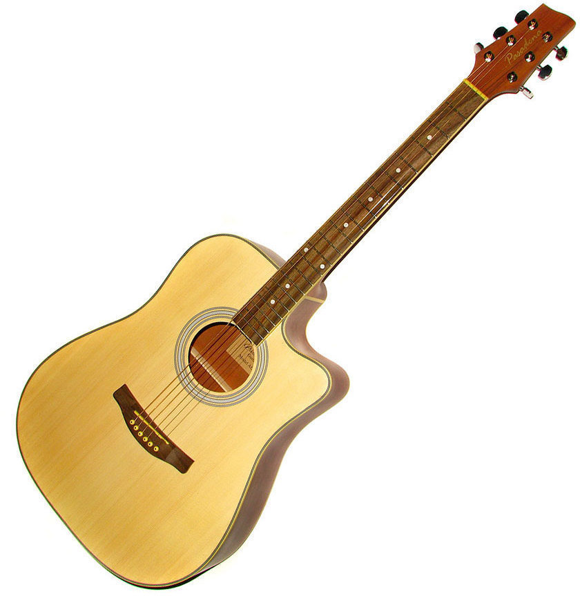 Dreadnought Guitar Pasadena AGC 1 Natural