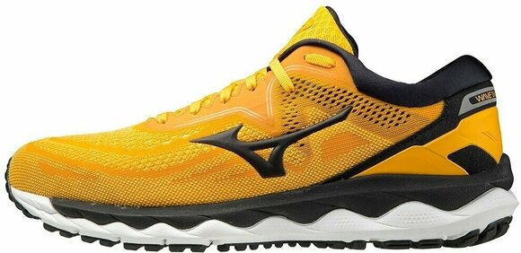 mizuno wave 43