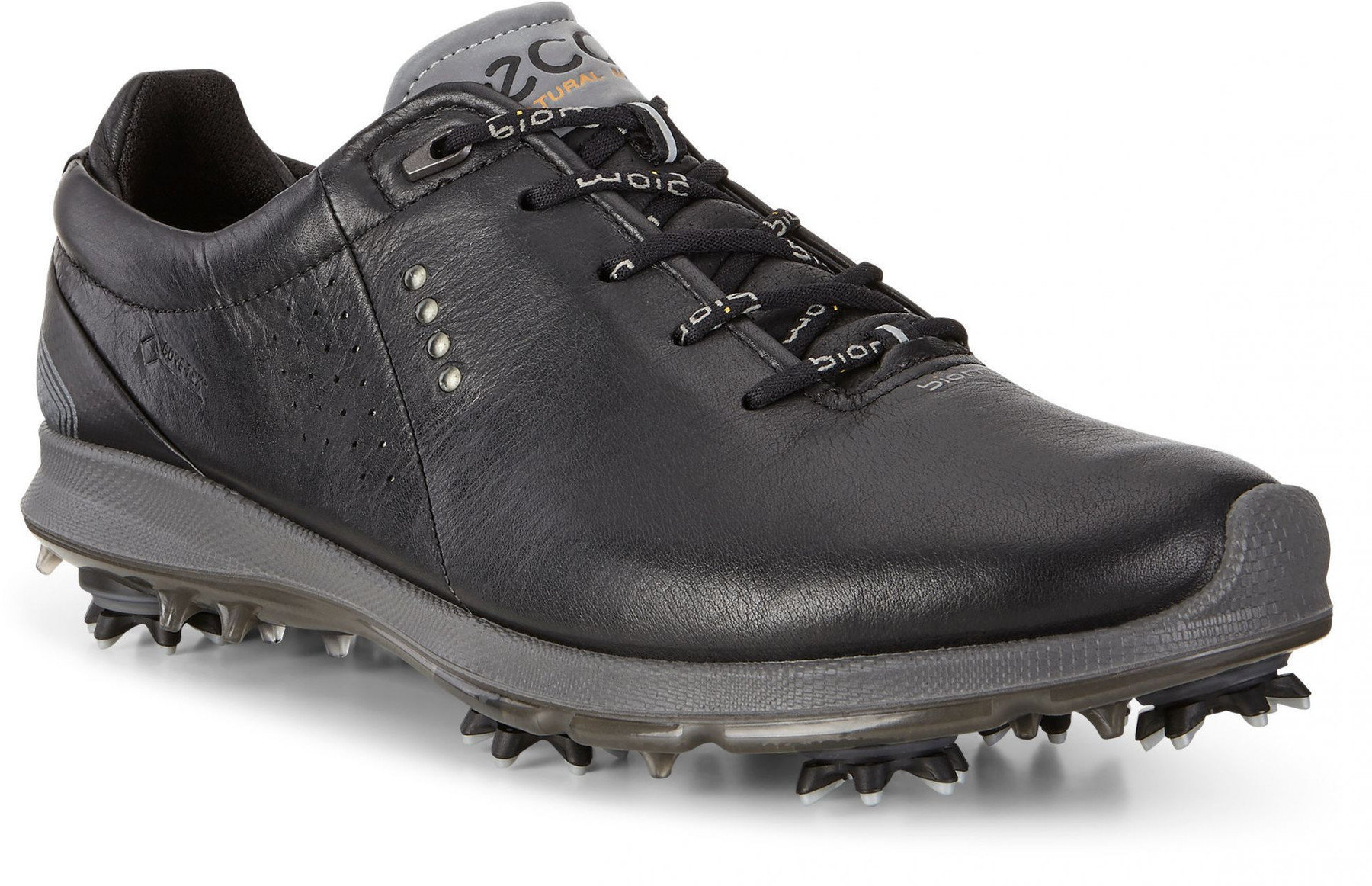Heren golfschoenen Ecco Biom G2 Mens Golf Shoes Black/Black 45