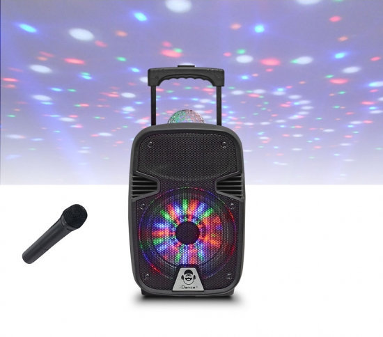 portable Speaker iDance GR215