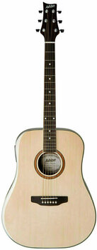 Akoestische gitaar Ashton D40SNT - 1
