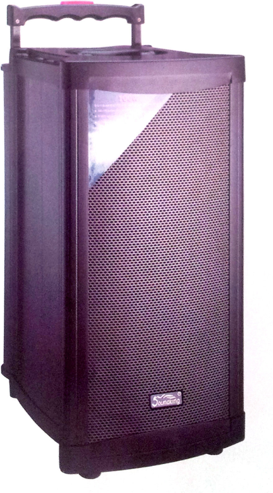 Batterij-PA-systeem Soundking W208PAD