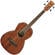 Ibanez PNB14E-OPN Open Pore Natural Akustisk basguitar