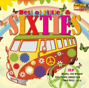 Schallplatte Various Artists - Best Of Fifties And Sixties (2 LP) - 1