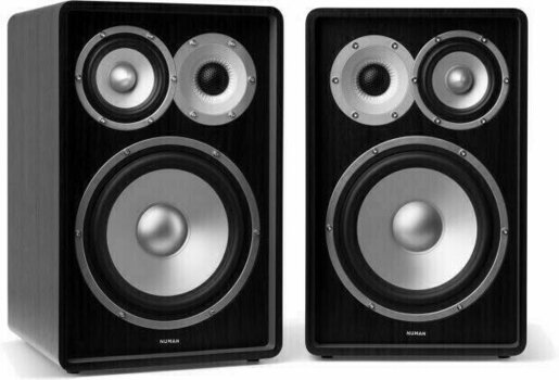 Enceinte bibliothèque Hi-Fi
 Numan Retrospective 1978 MKII Enceinte bibliothèque Hi-Fi Black - 1