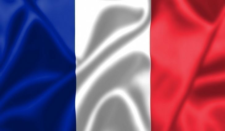 Talamex France Steag național 50 x 75 cm