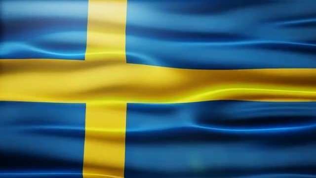 Nationale vlag Talamex Sweden Nationale vlag 30 x 45 cm