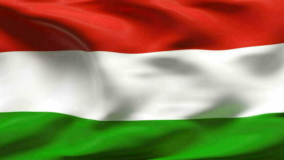 Bootsflagge Talamex Hungary Bootsflagge 30 x 45 cm - 1