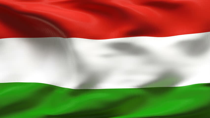Национално знаме Talamex Hungary Национално знаме 50 x 75 cm
