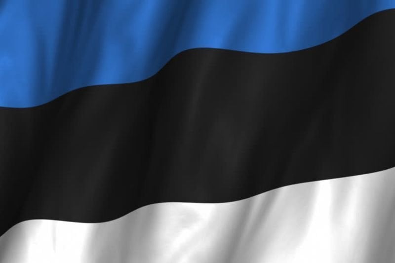 Marine National Flag Talamex Estonia Marine National Flag 30 x 45 cm