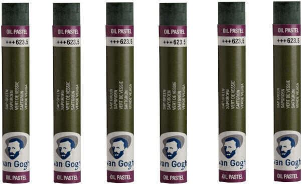 Pastel à l'huile Van Gogh Oil Pastel Stick Coffret de pastels à l'huile Sap Green 5 6 pièces
