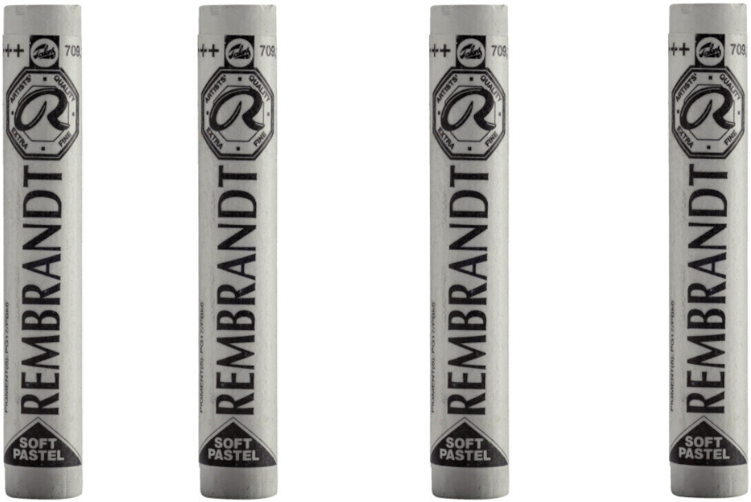 Pastel sec Rembrandt Soft Pastel Coffret de pastels secs Green Grey 10 4 pièces