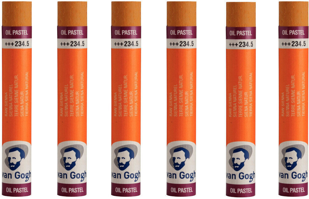 Pastel à l'huile Van Gogh Oil Pastel Stick Coffret de pastels à l'huile Raw Sienna 5 6 pièces