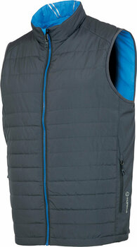 Prsluk Sunice Men Michael Reversible Vest Charcoal/Vibrant Blue L - 1