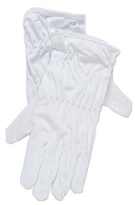 Reinigungsmittel für LP-Aufzeichnungen Audio Anatomy AC043 AA Handschuhe