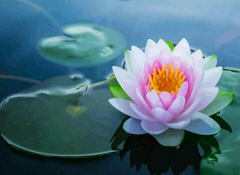 Pintura por números Gaira Painting by Numbers Water Lily - 1