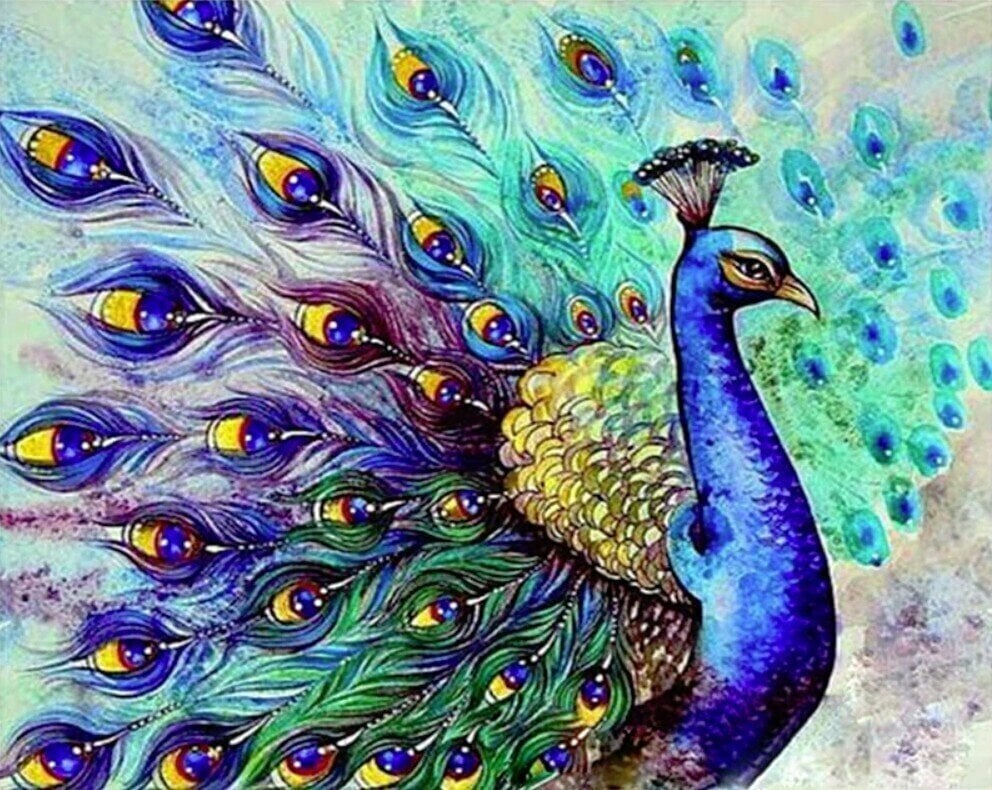 Painting by Numbers Gaira Painting by Numbers  Peacock