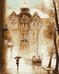 Pintura por números Gaira Pintura por números Rainy