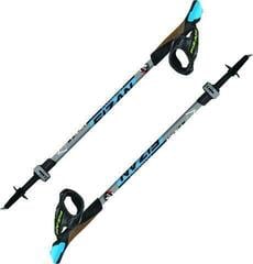 Bastones de marcha nórdica Fizan R-Evolution Blue 58 - 130 cm Bastones de marcha nórdica