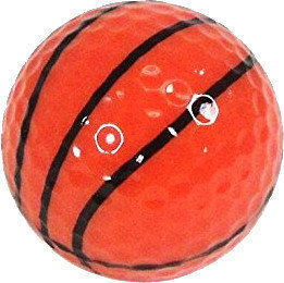 Nova loptica za golf Nitro Basketball 3 Ball Tube