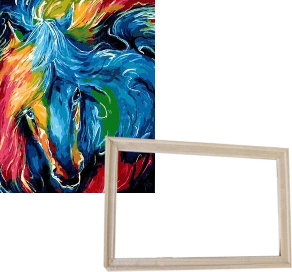 Painting by Numbers Gaira With Frame Without Stretched Canvas Colorful Horse