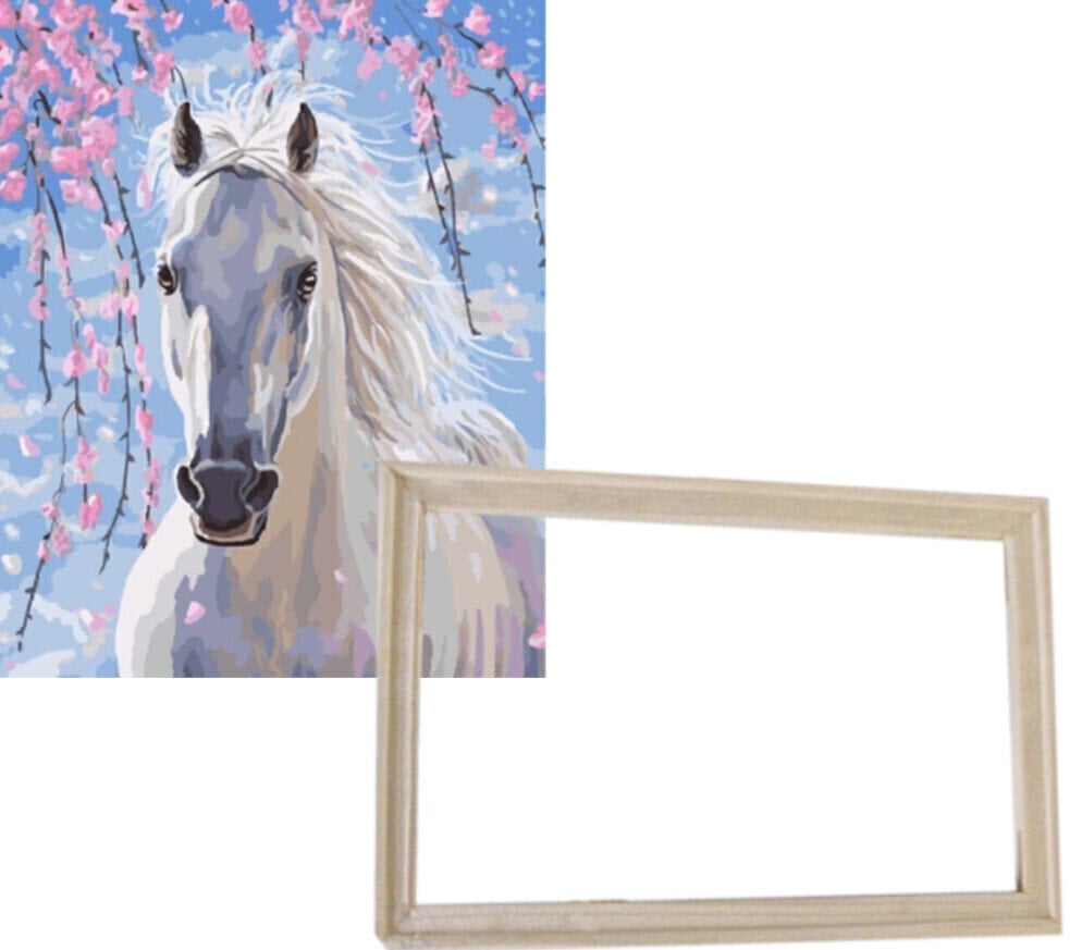 Slikanje po brojevima Gaira S okvirom bez razvučenog platna Bijeli konj