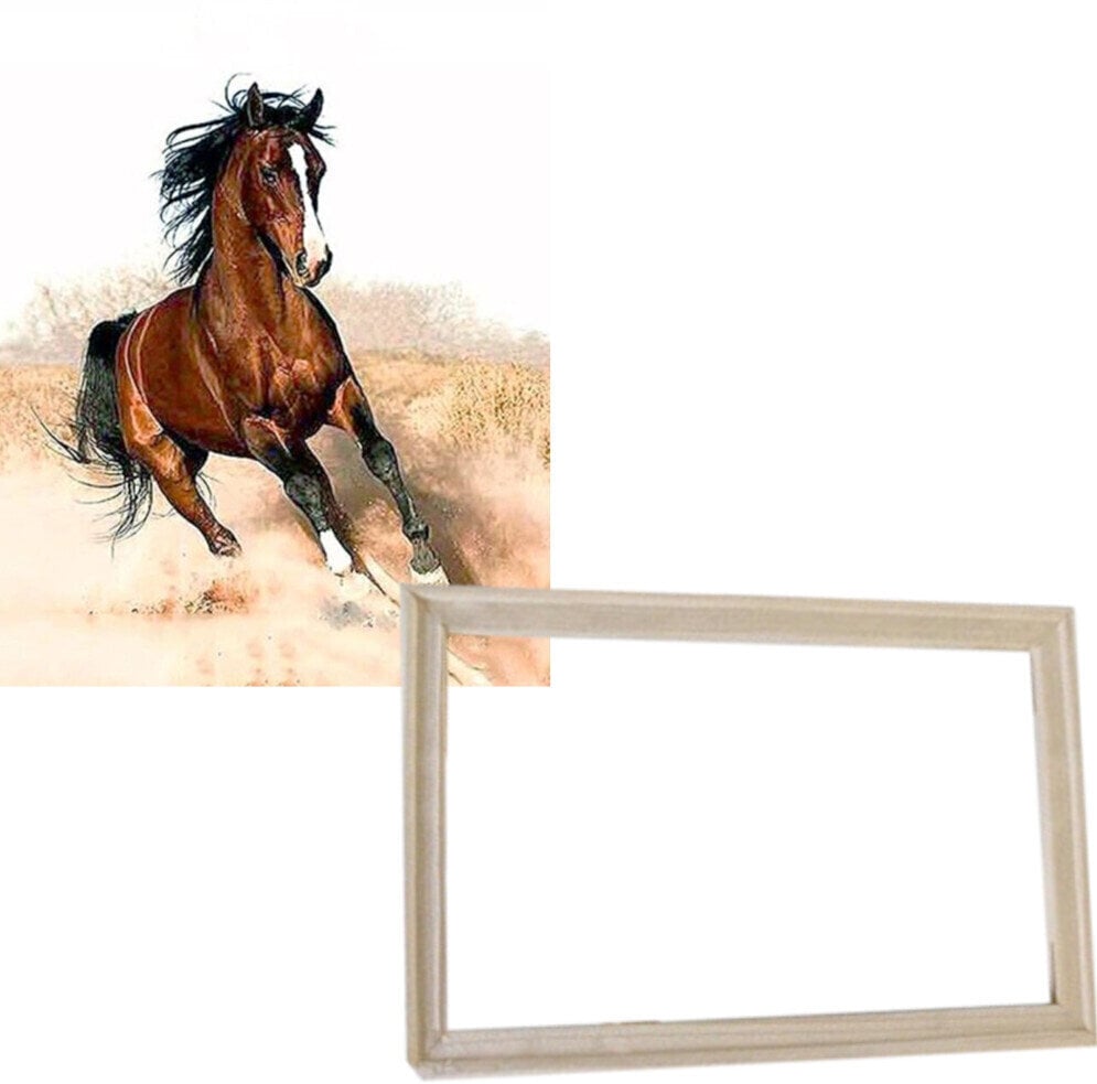 Maľovanie podľa čísel Gaira S rámom bez vypnutého plátna Cválajúci kôň