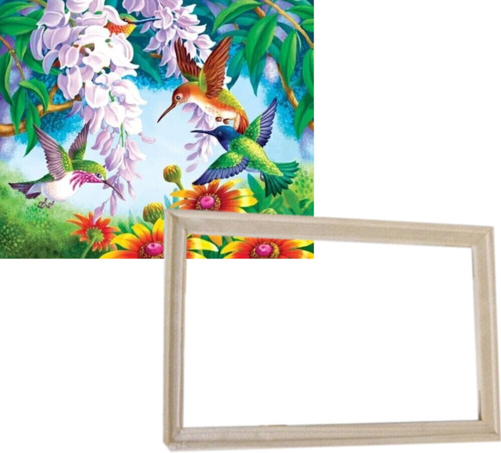 Painting by Numbers Gaira With Frame Without Stretched Canvas Hummingbirds