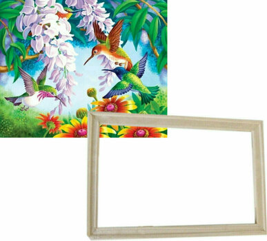 Schilderen op nummer Gaira With Frame Without Stretched Canvas Hummingbirds - 1