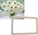 Gaira With Frame Without Stretched Canvas Daisies 1