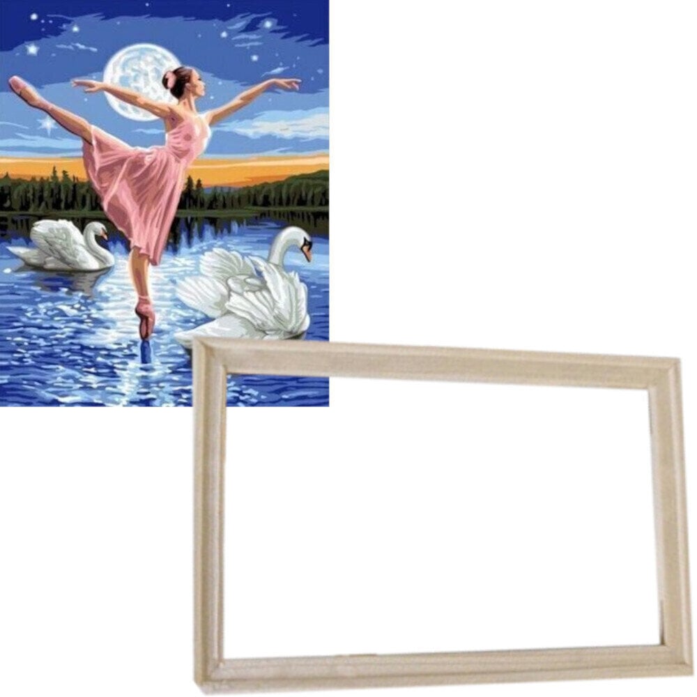 Painting by Numbers Gaira With Frame Without Stretched Canvas Swan Lake