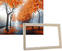 Peinture par numéros Gaira Avec cadre sans toile tendue Parc d'automne