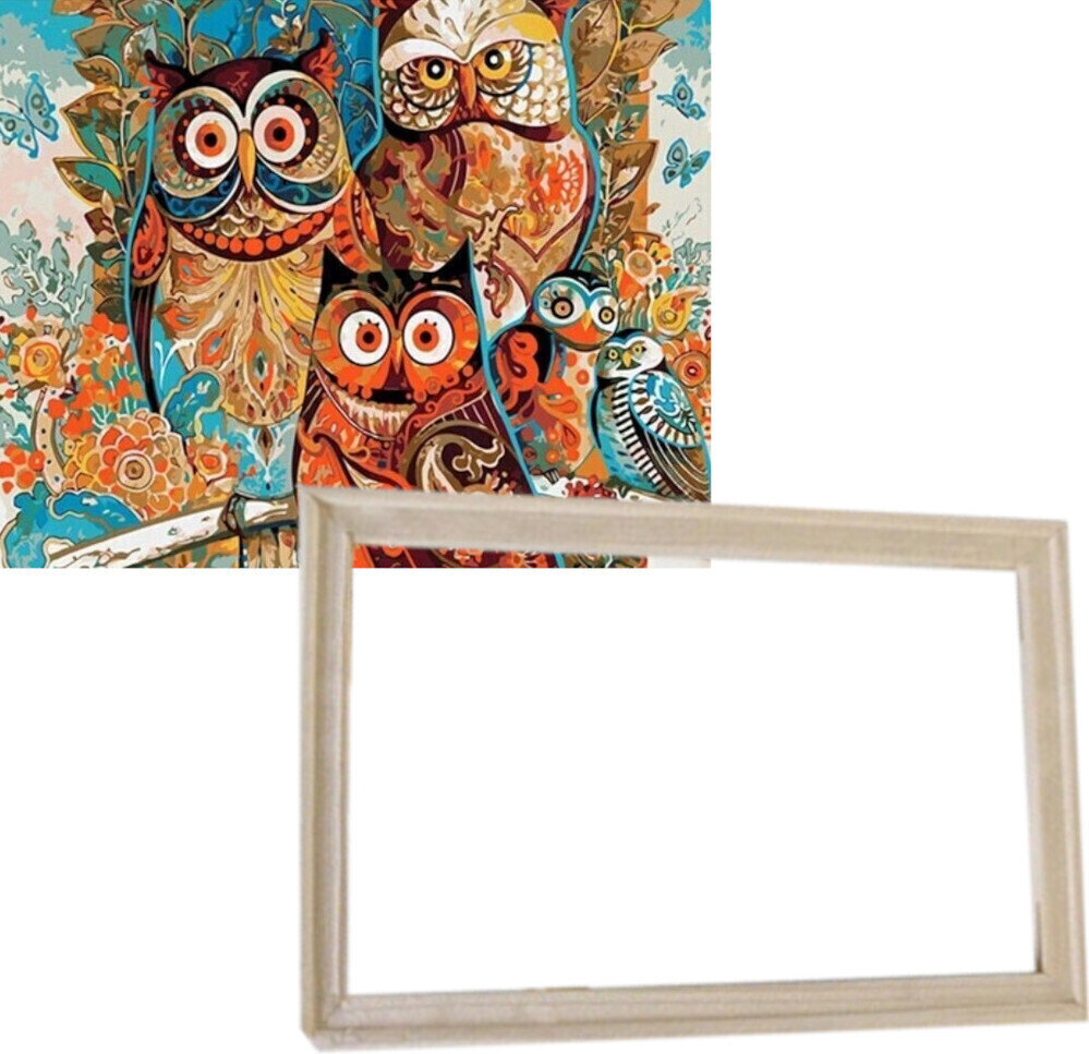 Painting by Numbers Gaira With Frame Without Stretched Canvas Owls