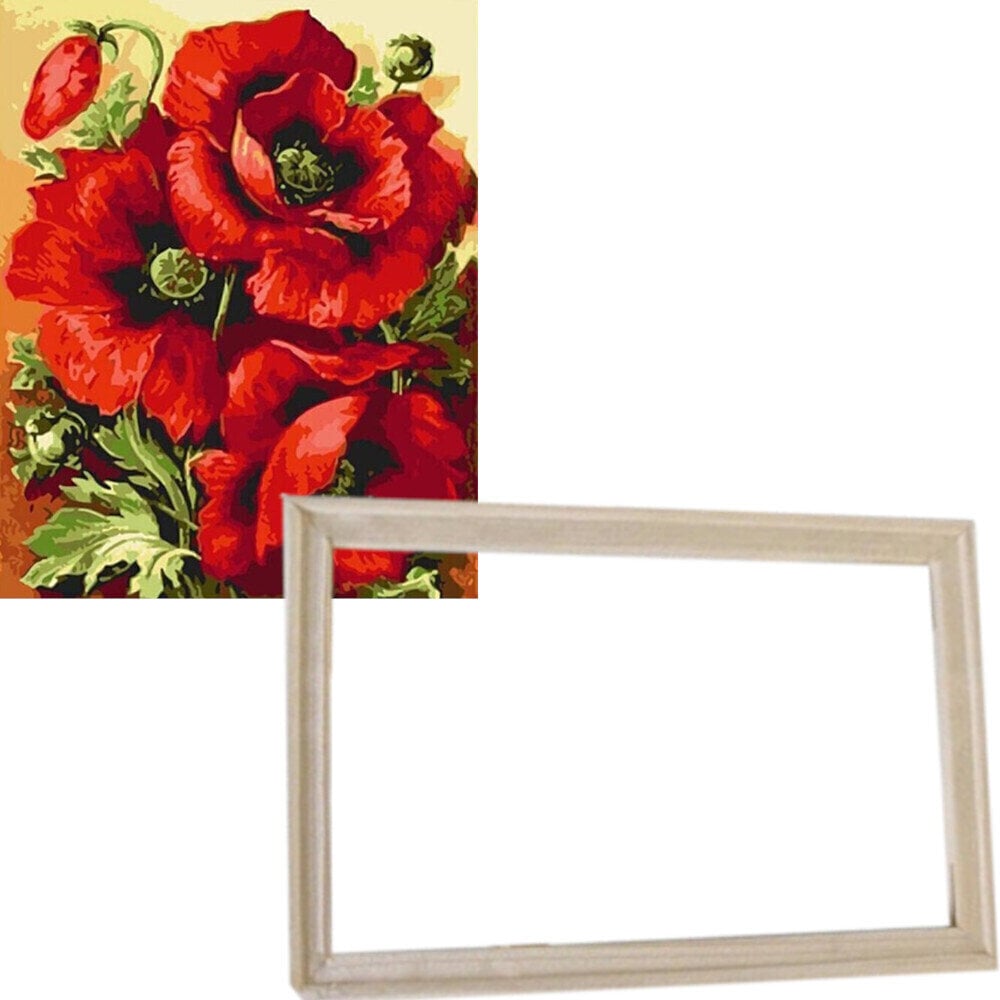 Schilderen op nummer Gaira With Frame Without Stretched Canvas Poppies 2