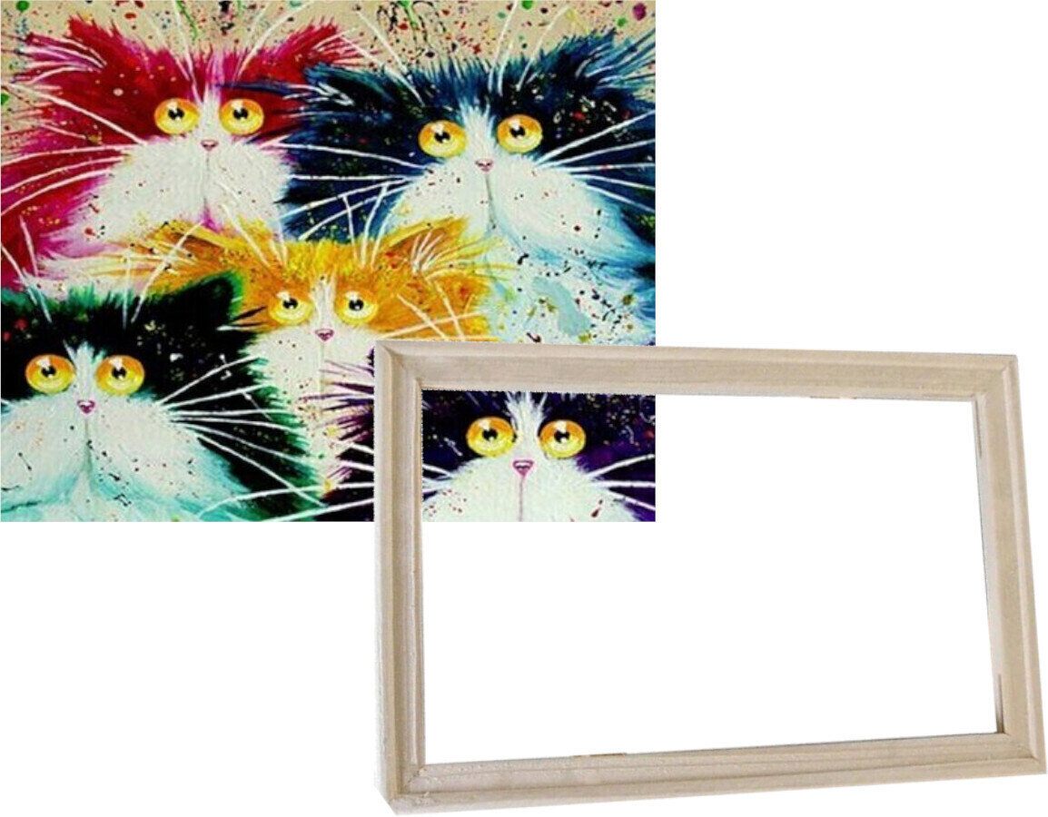 Painting by Numbers Gaira With Frame Without Stretched Canvas Kittens