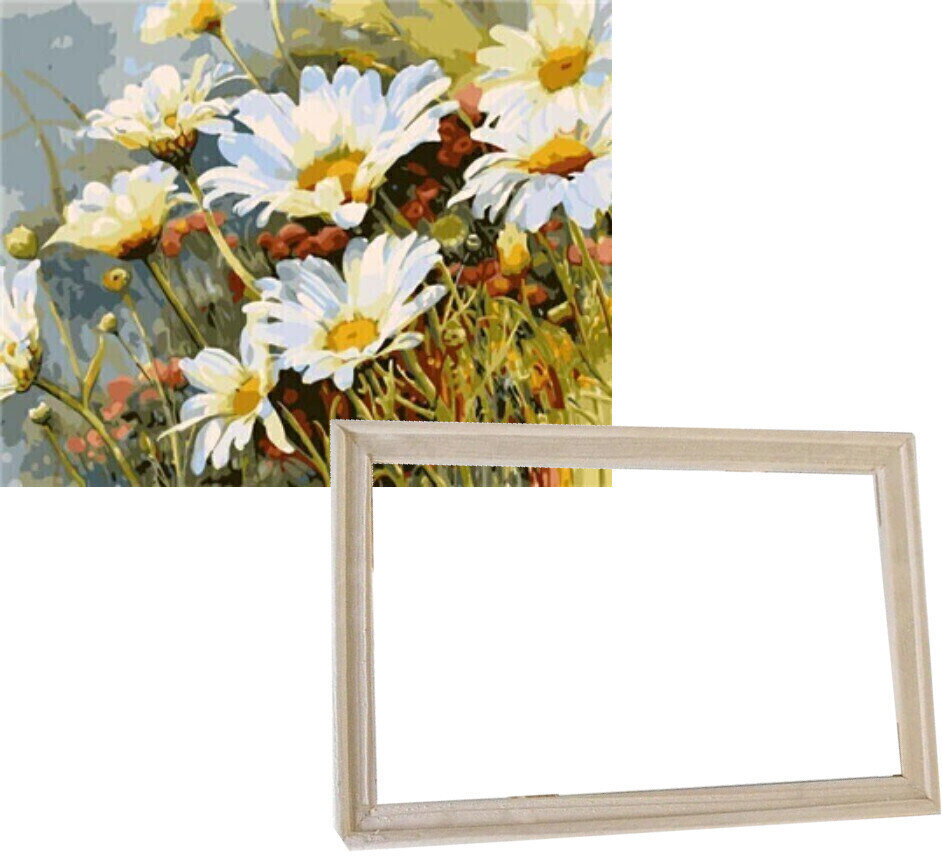 Ζωγραφική με Αριθμούς Gaira With Frame Without Stretched Canvas Daisies 2