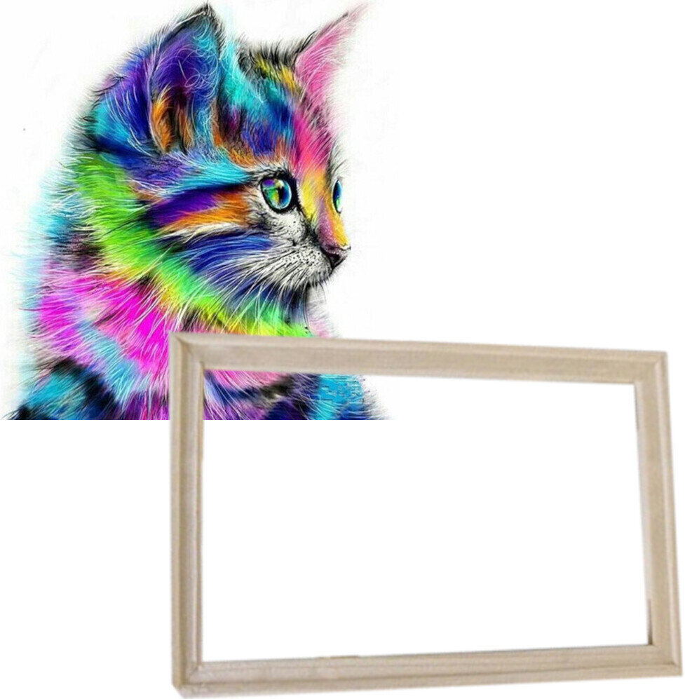 Schilderen op nummer Gaira With Frame Without Stretched Canvas Kitty