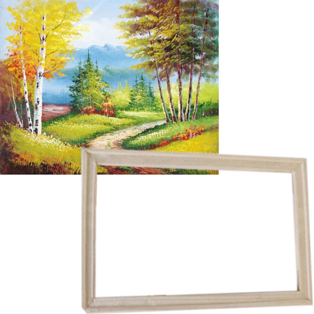 Schilderen op nummer Gaira With Frame Without Stretched Canvas Forest